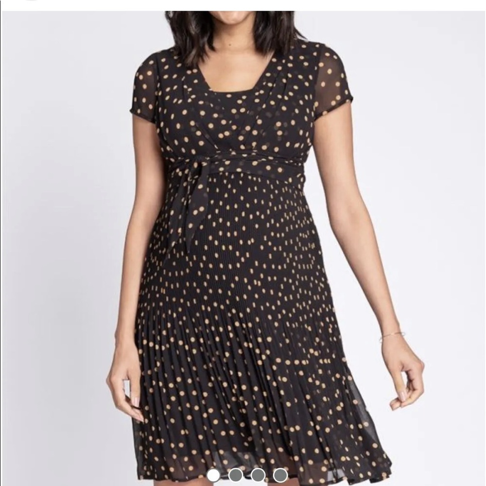 Seraphine Maternity Nursing Work Dress
